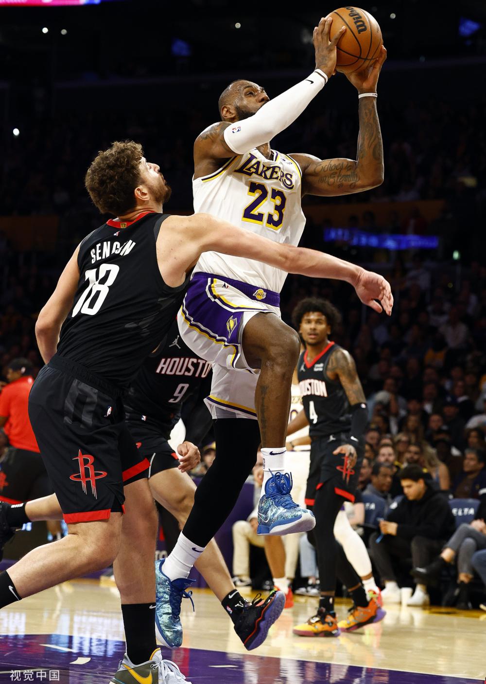 国菜的热爱 国菜的热爱