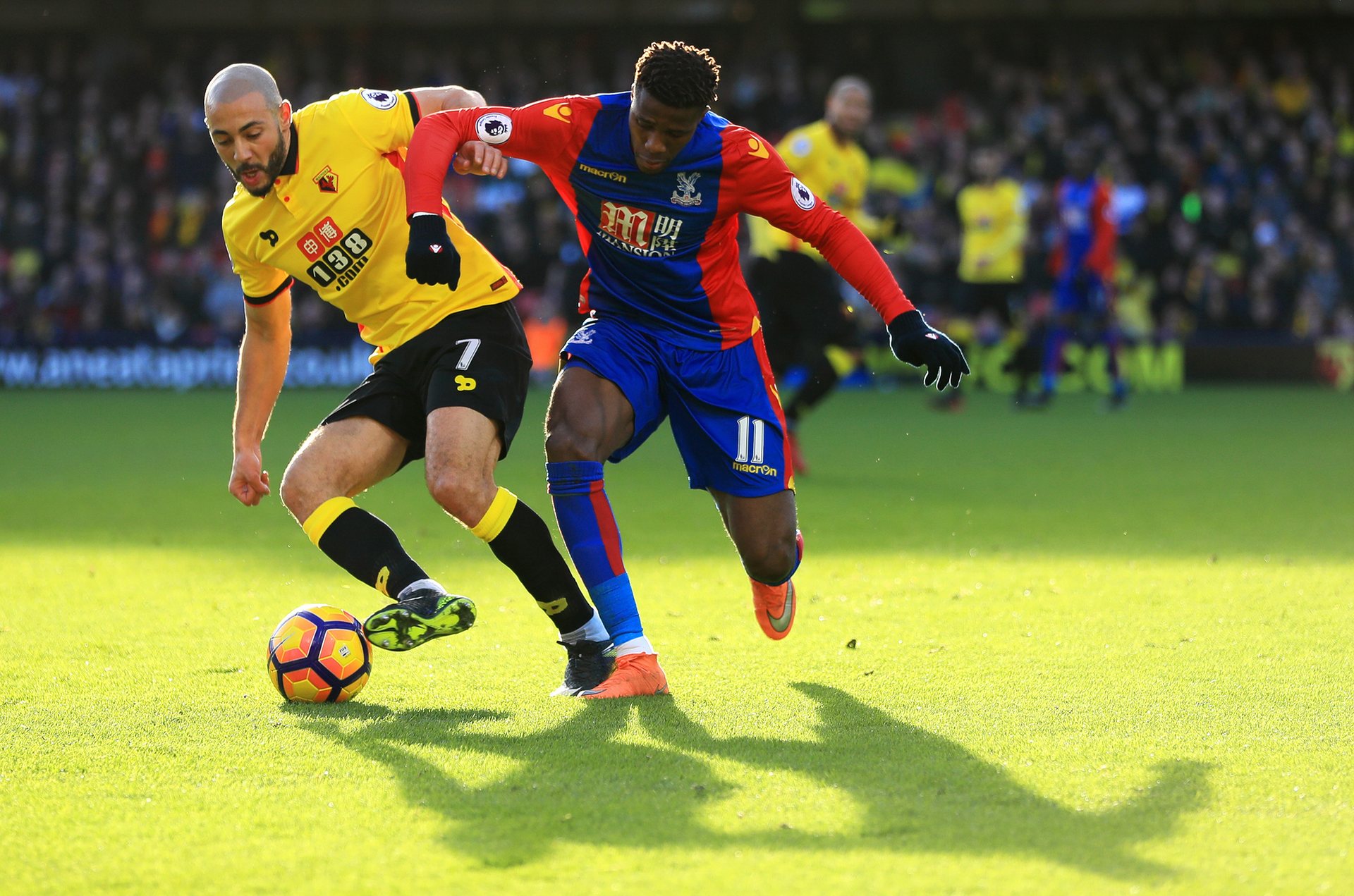 雄鹿过去几 雄鹿过去几